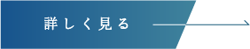 詳しく見る